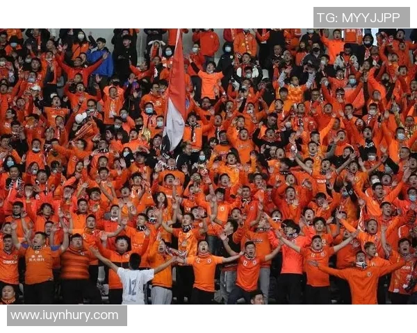 北京足球队配合排名创历史新高引发球迷热议与期待