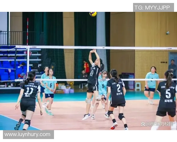 南京排球队比赛经验的创新与变革引发热议 南京排球队比赛经验的创新与变革引发热议