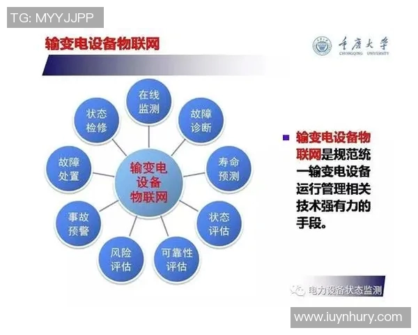 西安排球队状态分析与表现评估的综合研究报告