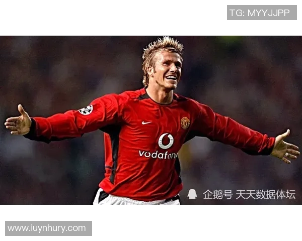 2008年英俊足球明星的魅力与成就回顾及其对足球界的影响 2008年英俊足球明星的魅力与成就回顾及其对足球界的影响