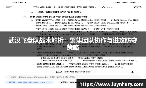 武汉飞盘队战术解析：聚焦团队协作与进攻防守策略